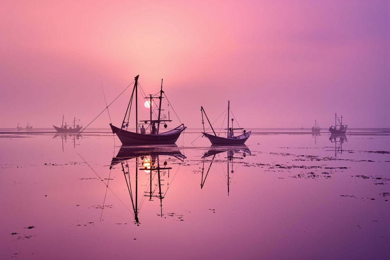 潮汐之间 · 霞浦滩涂画卷 - 图1